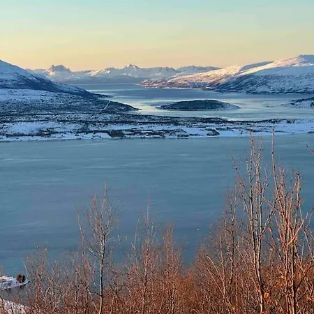 Northern Light Tromsdalen