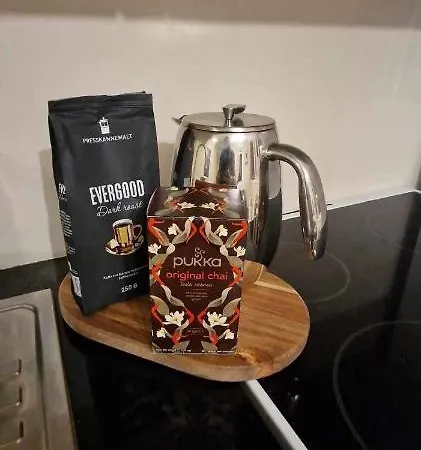 Northern Light